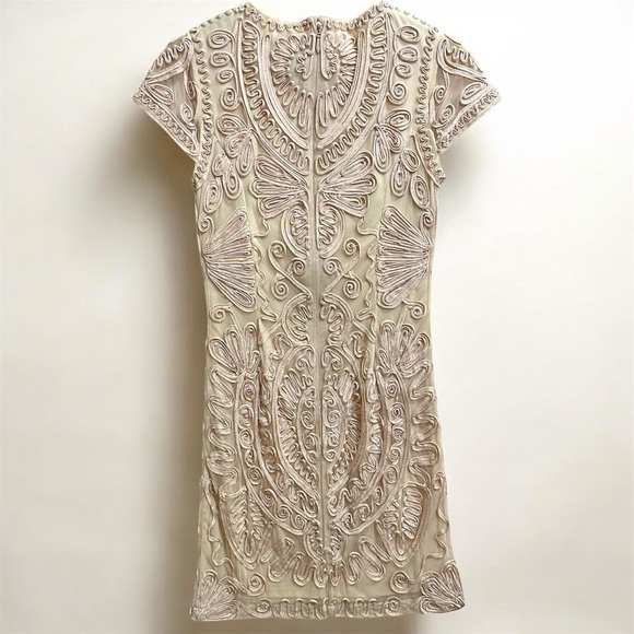 JS Collections Cocktail Dress 2 Light Blush Pink Embroidered Sheer Cap Sleeves - Picture 5 of 13